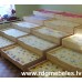 Priedes gulta BD-P5 Priedes gulta BD-P5
